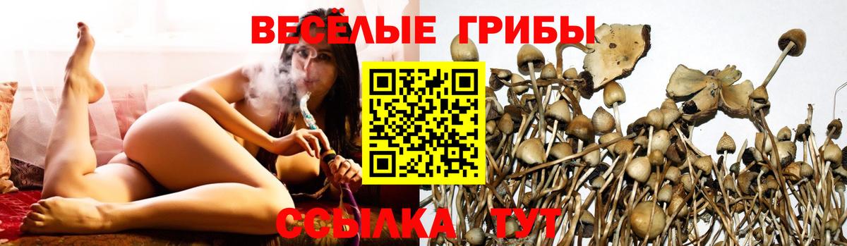 Галлюциногенные грибы Cubensis Ливны