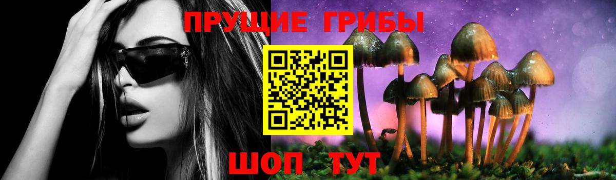 Галлюциногенные грибы Cubensis  Вход с VPN  Псилоцибиновые грибы GOLDEN TEACHER  Ливны 